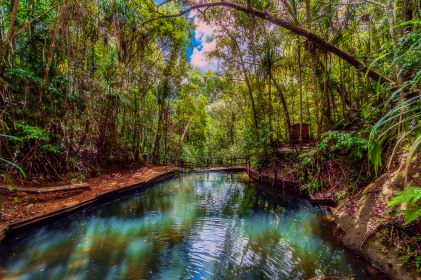 Serene tropical forest, lush trees, turquoise blue waters, Fiji.  