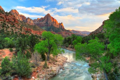 Idyllic desert scene, tree-line clear blue stream amidst towering red rocks, blue sky overhead, Zion National Park, Utah.  