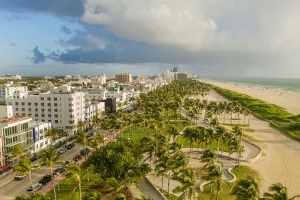 Beautiful aerial image, lush palm trees, South Beach, Miami, Florida. 