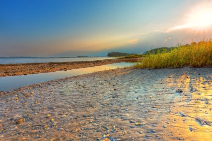 Unspoiled shoreline, grass in the distance, sunsetting, Hilton Head, South Carolina. 