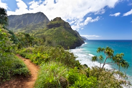 Image of shoreline and volcanic mountains with a copper-colored path running parallel to the shoreline toward the mountains. Path is surrounded by lush vegetation.