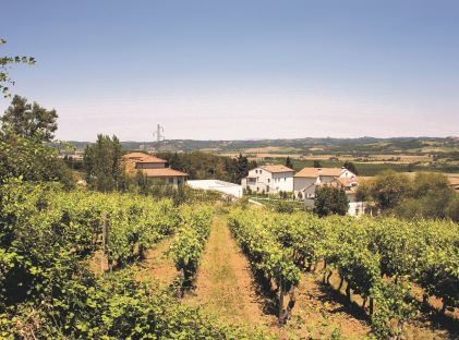 Borgo alle Vigne, a Hilton Grand Vacations Club, a modern Tuscany vacation resort in Italy