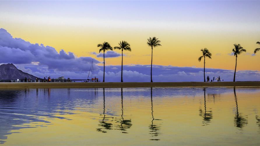 Sunrise behind a row of palm trees  in Hawaii. 