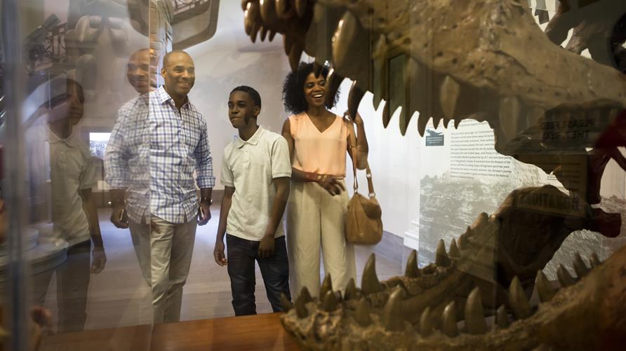 Family looking at dinosaur fossil exhibit at museum.