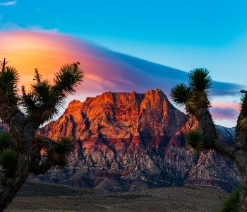 Red rocks above a creek in Arizona