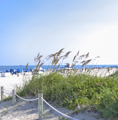 Sand dunes with beach grass at South Beach, Florida.