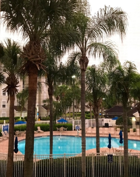 Pool between the palm trees at Grande Villas Resort