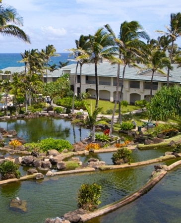 Hilton Hawaiian Village: A Tropical Paradise for Your Next HGV Vacation - A  Timeshare Broker, Inc.