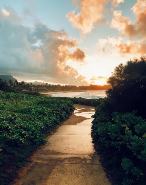 A sandy path hedged with lush bushes winds towards a Hawaiian beach.