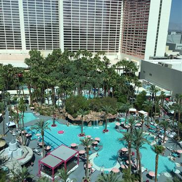 Balcony view of pool surrounded by palm trees at Flamingo, a Hilton Grand Vacations Club located at Las Vegas, Nevada.
