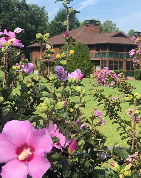 Flowers framing the Bent Creek Golf Village, a Hilton Vacation Club located in Tennessee