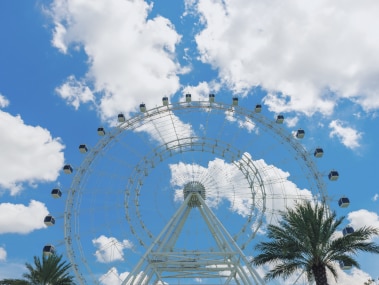 The Wheel at ICON Park™