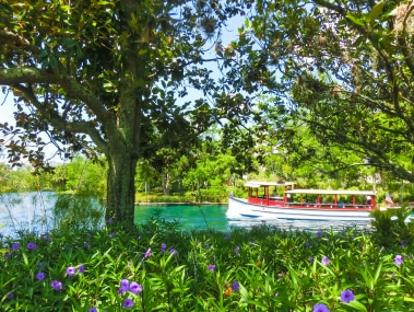 Boat Tours