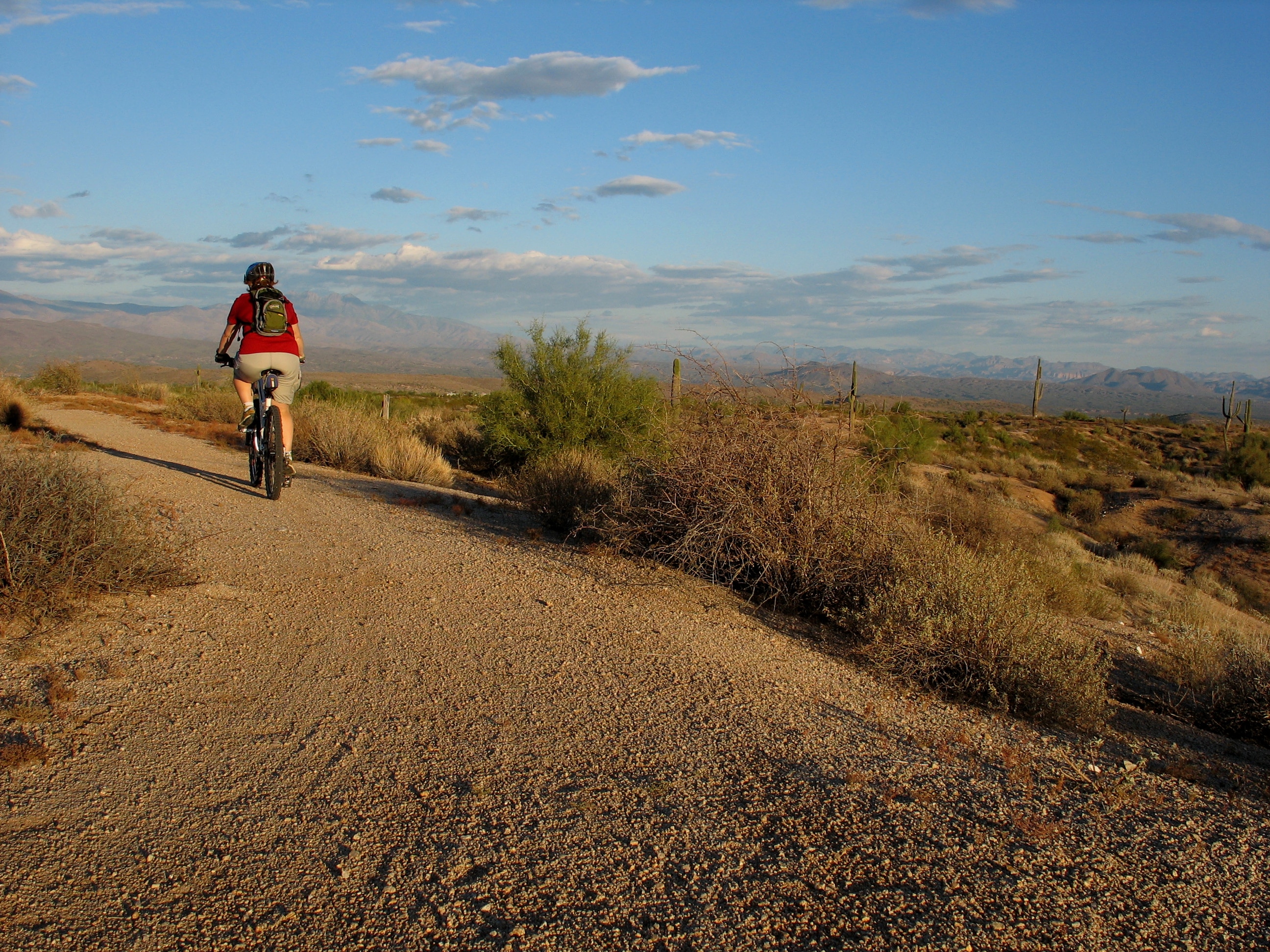 A man riding a bike in the American desert on an easy trail.