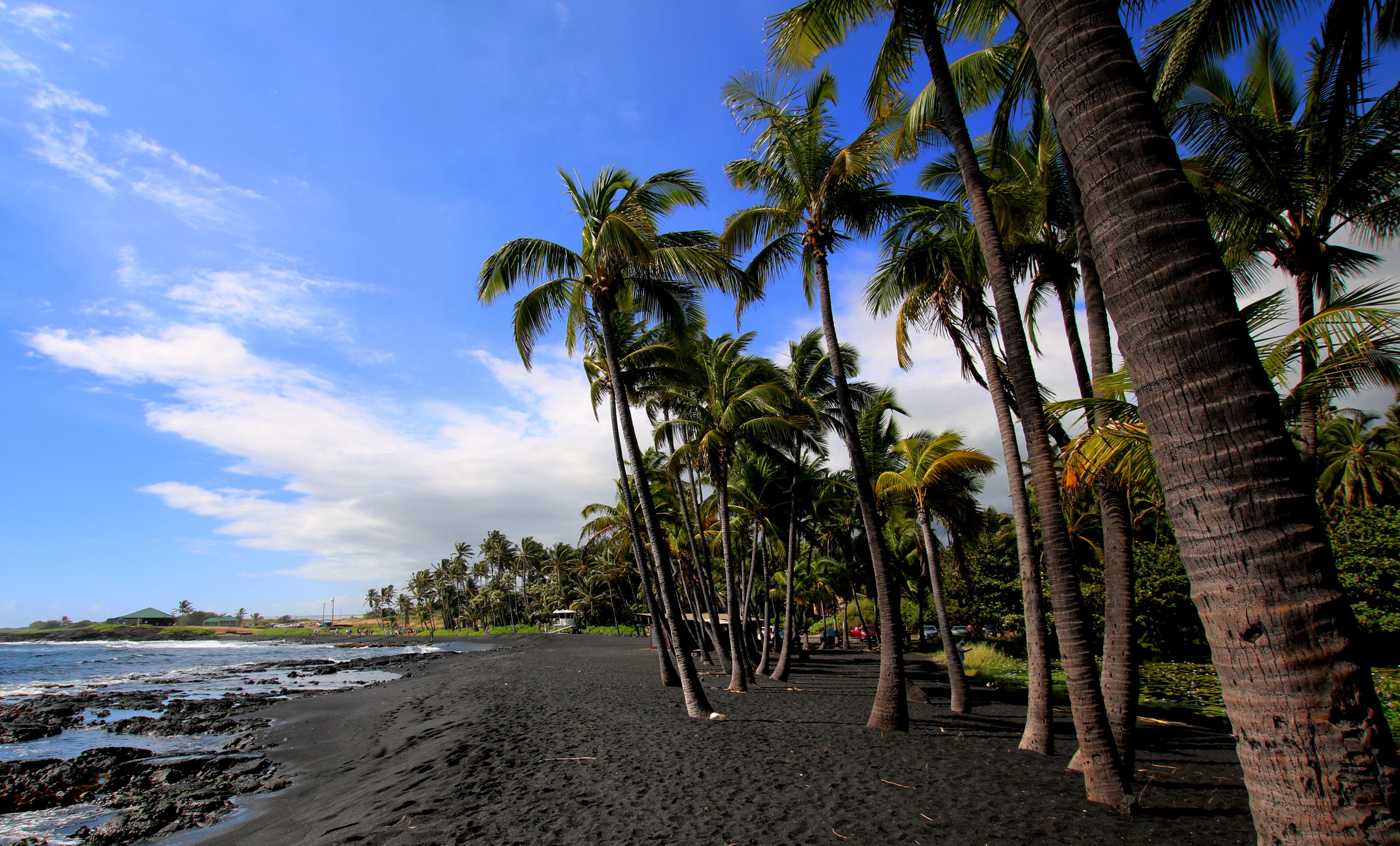 Palm tree lined black sand beach against blue water and clear skies at Punalu'u Beach, Hawaii.